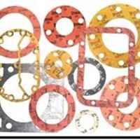 Gasket Flange Packing Butterfly Macam2 Type